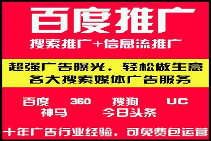 网络推广与竞价策略实战案例
